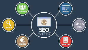 Top SEO Company: How to select a suitable opportunity for you or your Organization